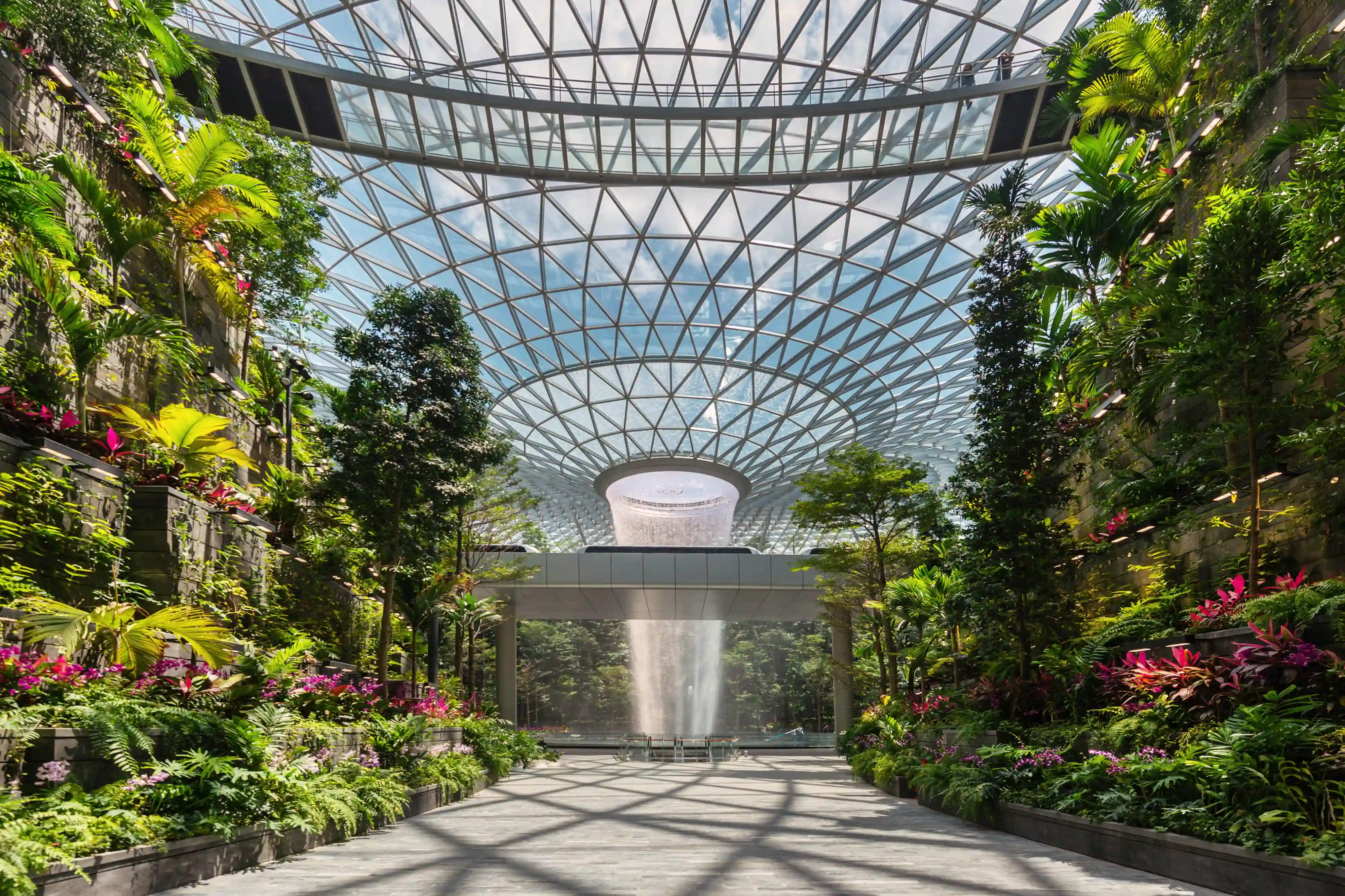 Singapore Delight 