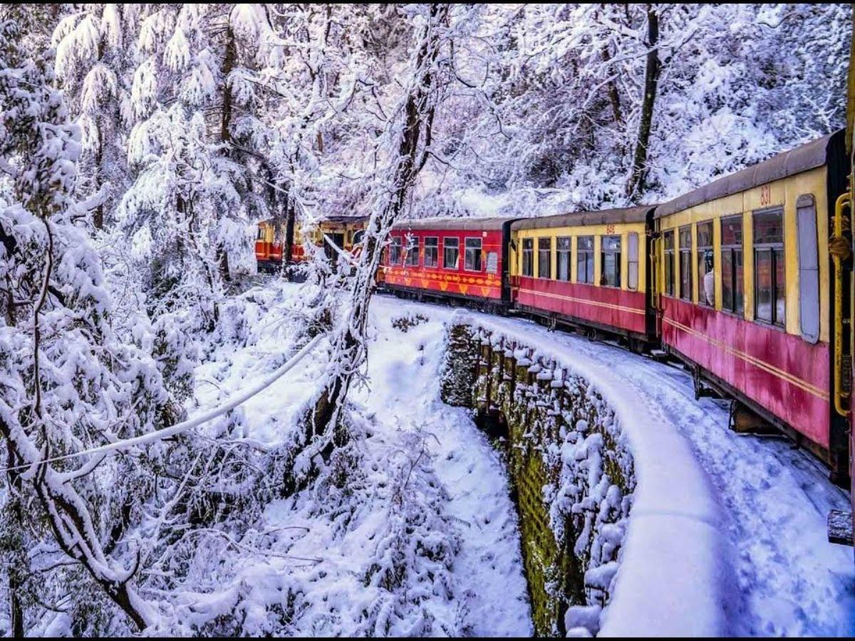 Shimla and Manali Fun Tour 