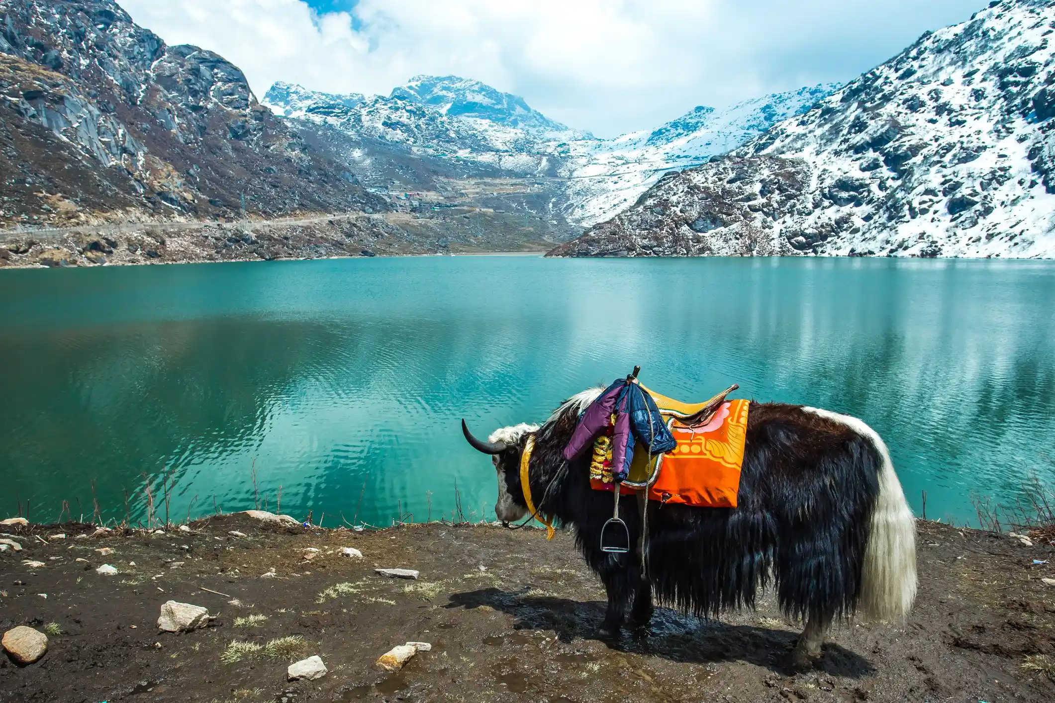 Tranquil Trails of Sikkim & Darjeeling