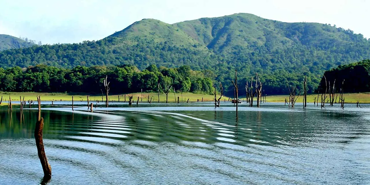 Kerala Workcation Tour