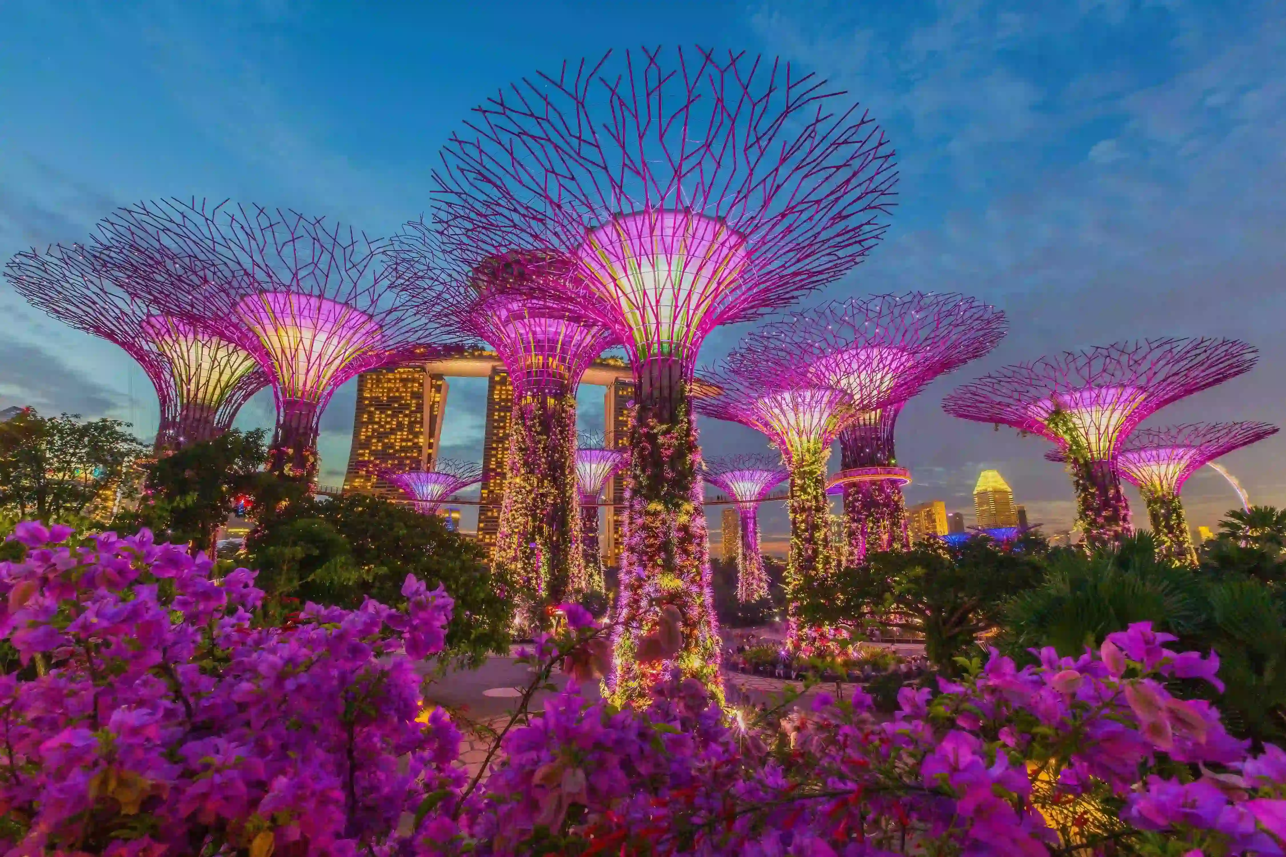 Singapore Executive Escape