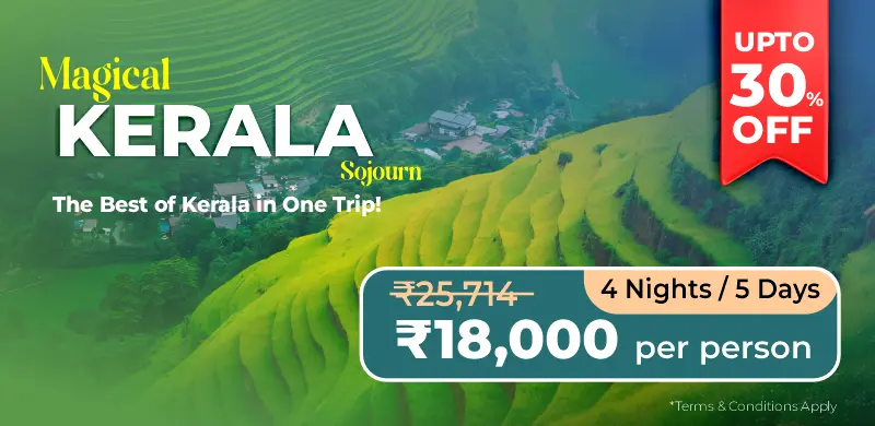 Kerala holiday packages